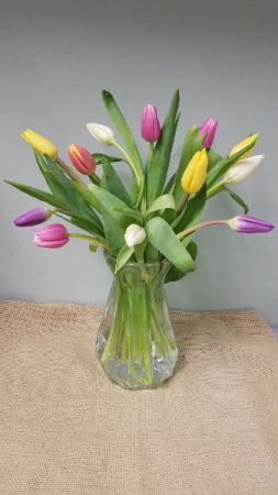 Tulips Sign of Spring Fresh Flowers