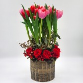 Tulips Sweet Sigh. VD24-105 Love Arrangement