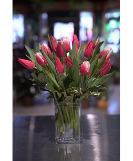 Tulips to Kiss  Locally Grown