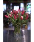 Tulips to Kiss  Locally Grown