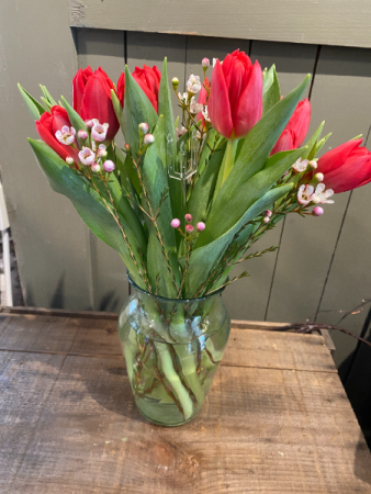 Tulips to Love 