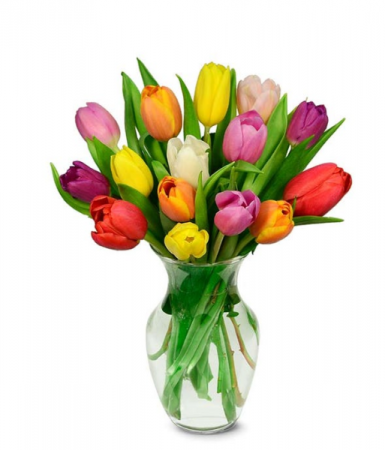 Tulips Vase Arrangement