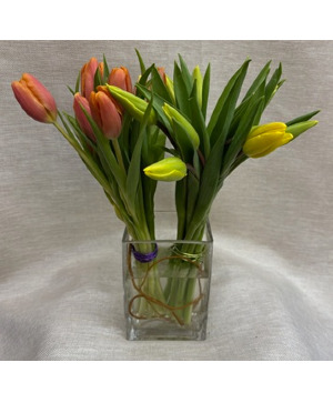 Tulips with a Twist for Spring Arrangement