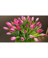 Tulips with Seasonal Flowers  