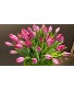 Tulips with Seasonal Flowers  