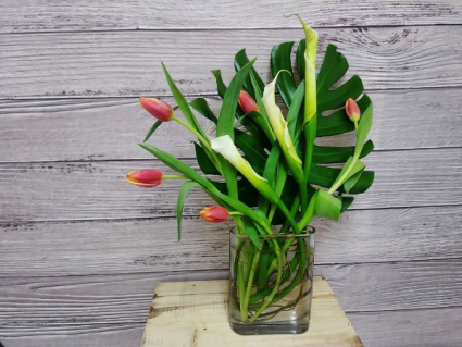 Taste of Tulips Art of Arranging