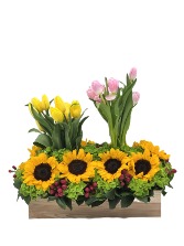Rayos de Gratitud Love Arrangement
