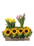 Rayos de Gratitud Love Arrangement