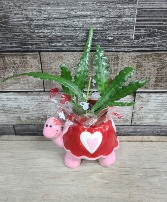 Turtle with fishbone cactus plant Planter