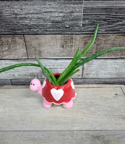 Turtle with mini aloe plant Planter