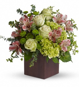Tuscan Morning    T508-1  in Fort Worth, TX | DAVIS FLORAL DESIGNS