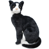 Tuxedo Kitty 