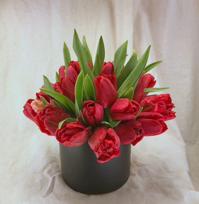 Tuxedo Tulips Vased Arrangement, Compact