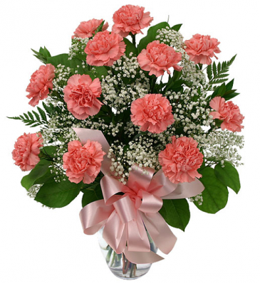 Twelve Pink Carnations