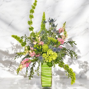 Twist of Spring 