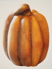 Twisted Stem Pumpkin Seasonal