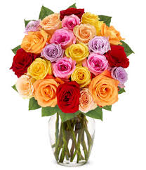 24 MIXED ROSES Roses