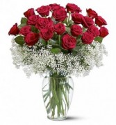 Two Dozen Deluxe Red Roses  