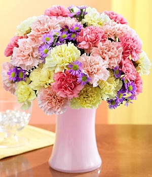 Two Dozen Colorful Carnations  