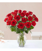 TWO DOZEN LONG STEM RED ROSES 