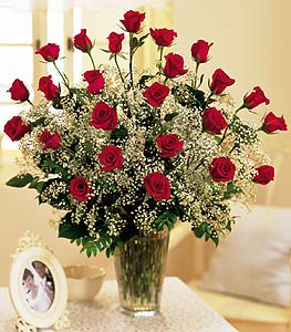 Two Dozen Long Stem Red Roses  Valentine's Day