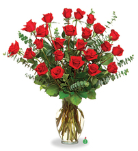 Two Dozen Long - Stemmed Red Roses 