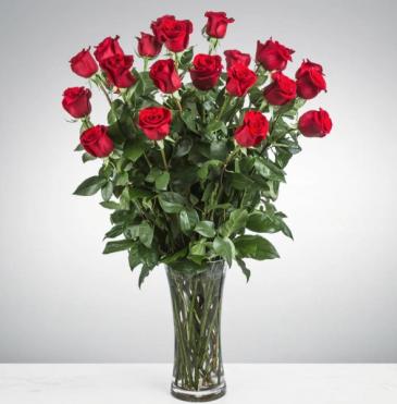 24 Long Stemmed Red Roses  in Frederick, MD | Maryland Florals