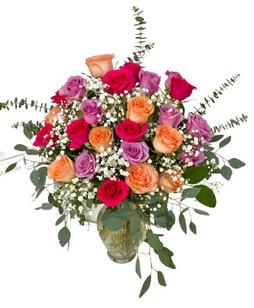 Two Dozen Mixed Roses Valentine's Day in Roy, UT | Reed Floral Design