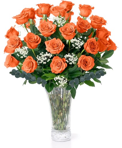 TWO DOZEN ORANGE ROSES 