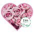 Two Dozen Pink Rose Bouquet 