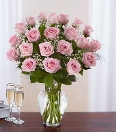 Two dozen pink roses 