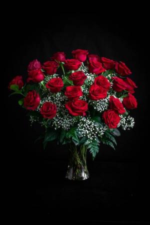 Two Dozen Radiant Roses