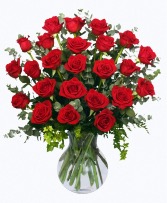 TWO DOZEN RADIANT ROSES RED ROSES ARRANGEMENT