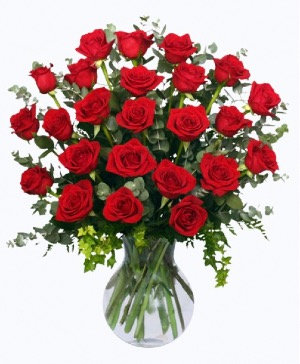 TWO DOZEN RADIANT ROSES RED ROSES ARRANGEMENT