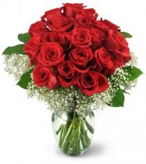 Two Dozen Red Roses  
