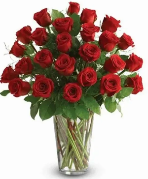 Two Dozen Red Roses 