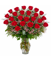 2 DOZEN RED ROSES 