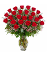 2 DOZEN RED ROSES 