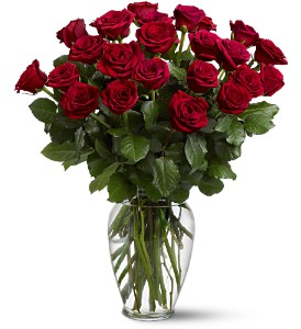 Two Dozen Long Red Roses Arrangement