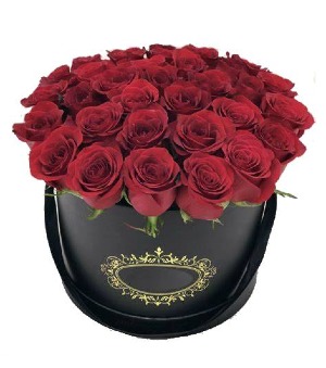 TWO DOZEN RED ROSES  Box Arrangement 