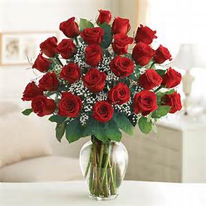 TWO dozen red ROSES Love