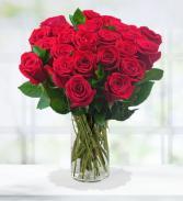 Two Dozen Red Roses Roses