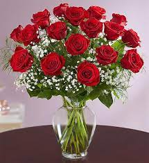 Two Dozen Red Roses roses