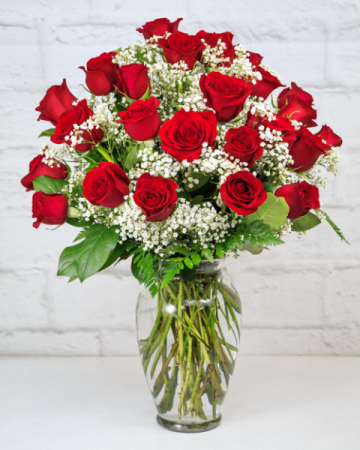 TWO Dozen Red Roses  with Baby's Breath