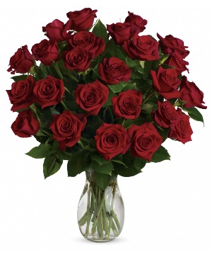 Two Dozen Roses  