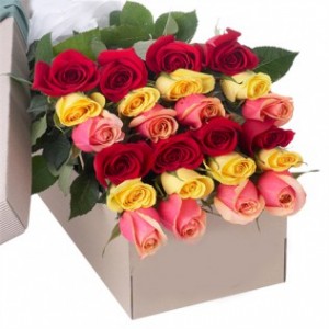 Two Dozen Roses mix in the box. Roma Florist 
