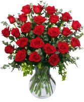 Two Dozen Roses Rose Arrangement 