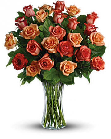 Two Dozen Sunrise Roses Rose Arrangement