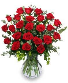 TWO DOZEN ROSES More Colors Available!