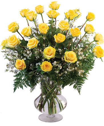 Two Dozen Yellow Roses Vase Arrangement  in Sterling, IL | Behrz Bloomz